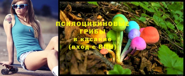 эйфоретик Аркадак