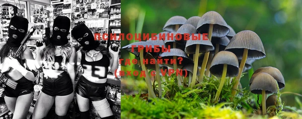 a pvp Арсеньев