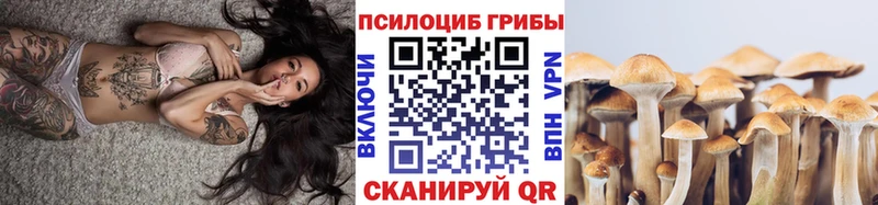 Псилоцибиновые грибы GOLDEN TEACHER Асбест