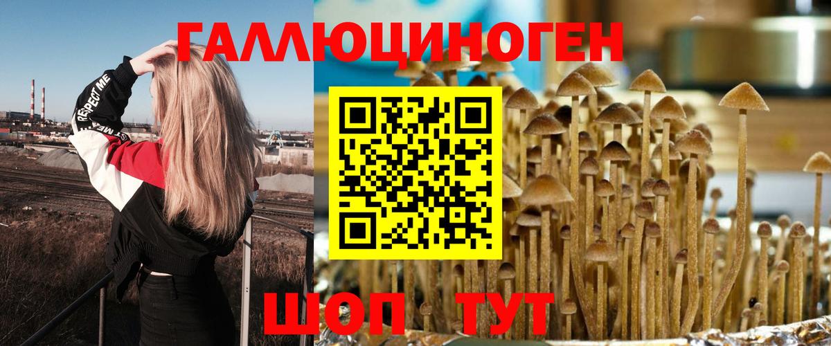 Асбест  Псилоцибиновые грибы Psilocybe  Вход с VPN 